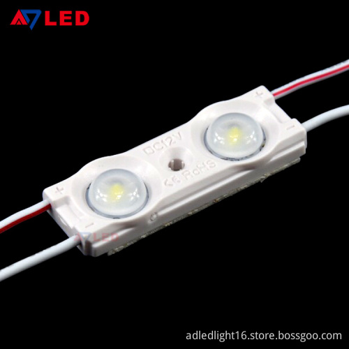 Adled light mexico popular 2 leds 0.96W epistar led module for lettre sign